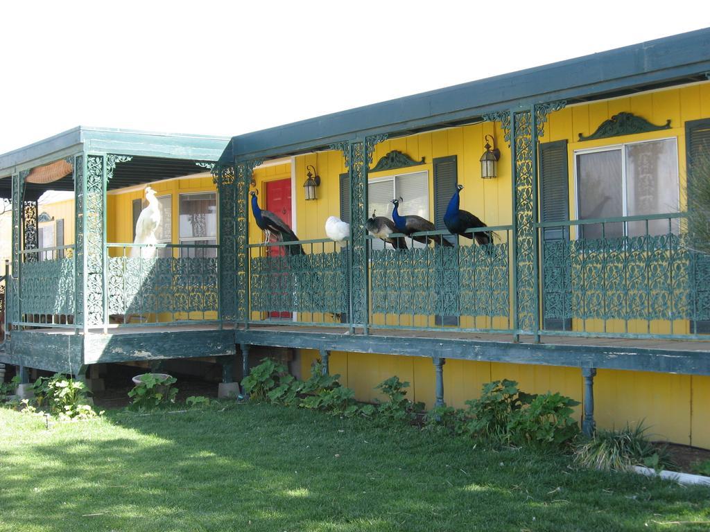 Shady Lady Bed And Breakfast Scottys Junction Экстерьер фото