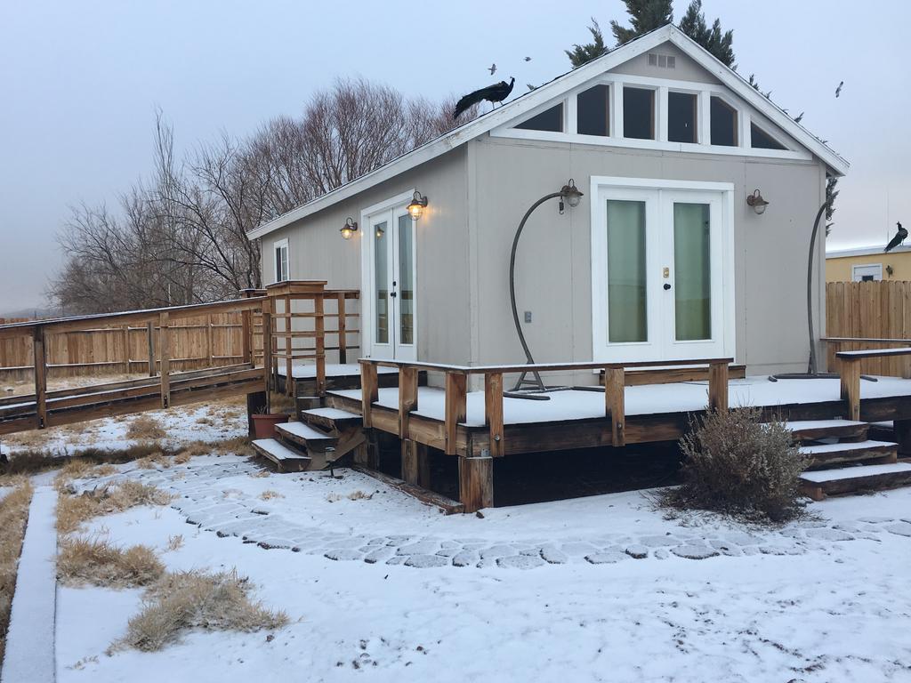 Shady Lady Bed And Breakfast Scottys Junction Экстерьер фото